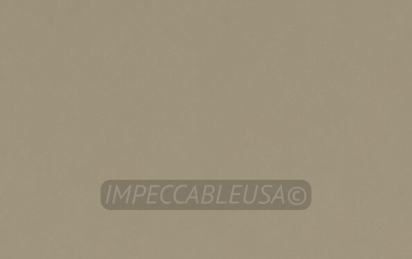 LIGHT BRONZE COLOR